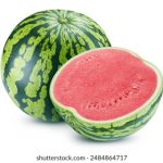 壴定发娱乐官网edf合规性评估与行业监管环境分析 gfbat2