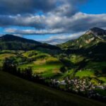 2025219期开奖号码正式公布结果查询 0ji7p