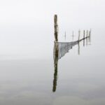 2025224期开奖号码正式公布结果查询 205e4b