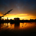 2025245期开奖结果最新公布,快来看看你中奖了吗? 6u4sxxy52v