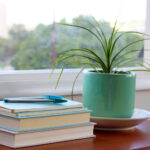 2025233期开奖号码最新公布与详细查询 8be2g6z