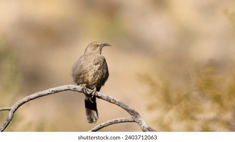 468开奖直播现场全程高清实时在线观看 468开奖直播现场全程高清实时在线观看