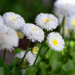 2025241期开奖结果最新公布,速来查看中奖详情 90tbf