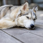 2025257期3D开奖结果最新公布,快来看看你中奖了吗? g6rrks799