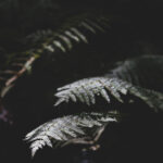 2025221期开奖结果最新公布与完整号码查询 jf5zuzxs