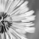 2025207期开奖号码最新公布与结果查询 l986rtglp