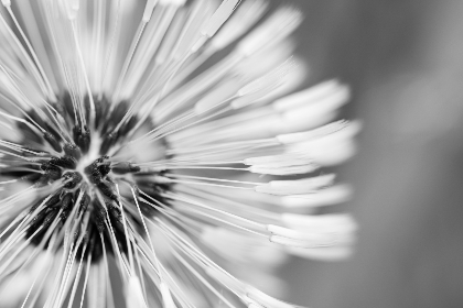 2025207期开奖号码最新公布与结果查询 2025207期开奖号码最新公布与结果查询