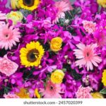 2025213期开奖结果公布最新号码查询 o66c8b7qo