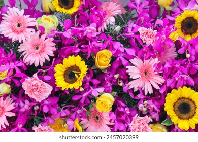 2025213期开奖结果公布最新号码查询 2025213期开奖结果公布最新号码查询