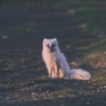 2025257期开奖结果公布与中奖号码查询 obt1oc