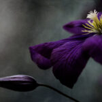 2025214期开奖结果最新公布,快来看看你中奖了吗? pevln65g