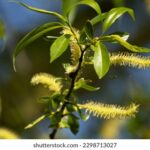 2025209期开奖结果公布最新中奖号码查询 q986kud