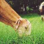 2025238期历史开奖结果查询与详细数据分析 qs7klqw