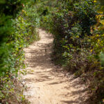 2025248期开奖号码公布,最新结果揭晓 wvl6e