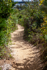 2025248期开奖号码公布,最新结果揭晓 2025248期开奖号码公布,最新结果揭晓