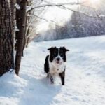 2025218期双色球开奖号码结果查询 zhu6yuw